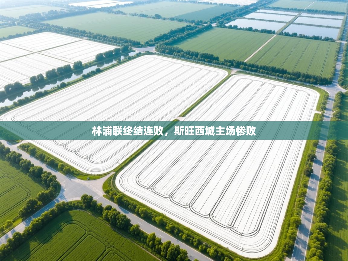 林浦联终结连败，斯旺西城主场惨败