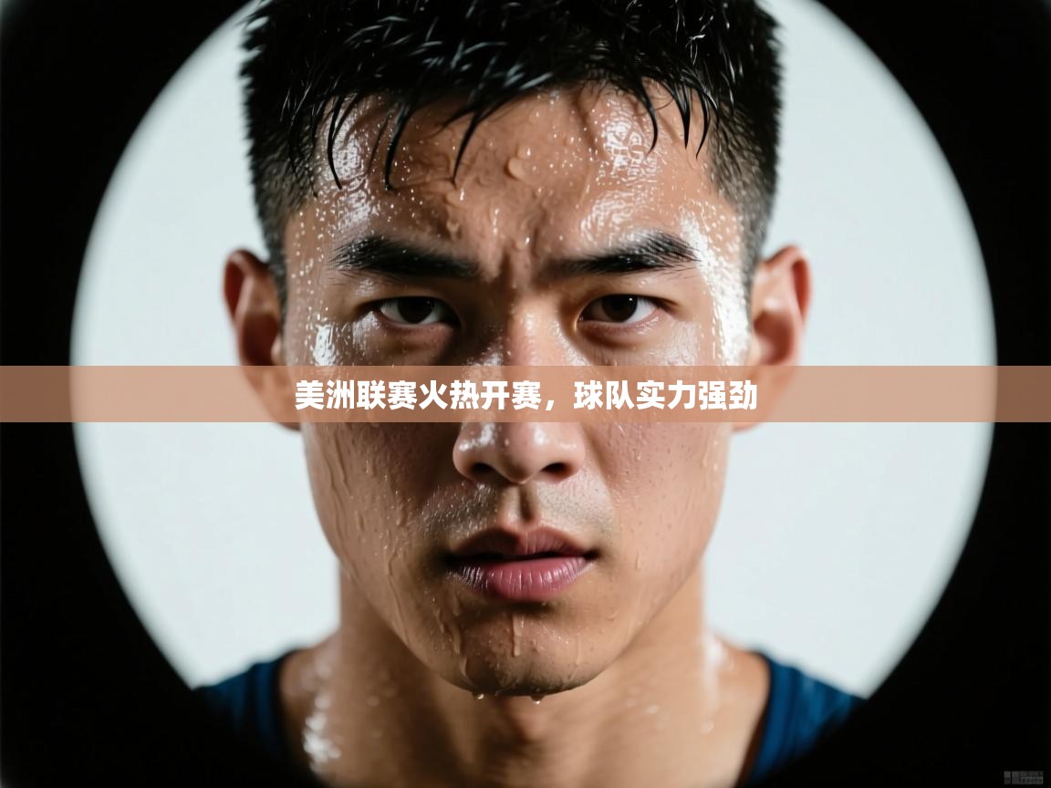 美洲联赛火热开赛，球队实力强劲  第1张