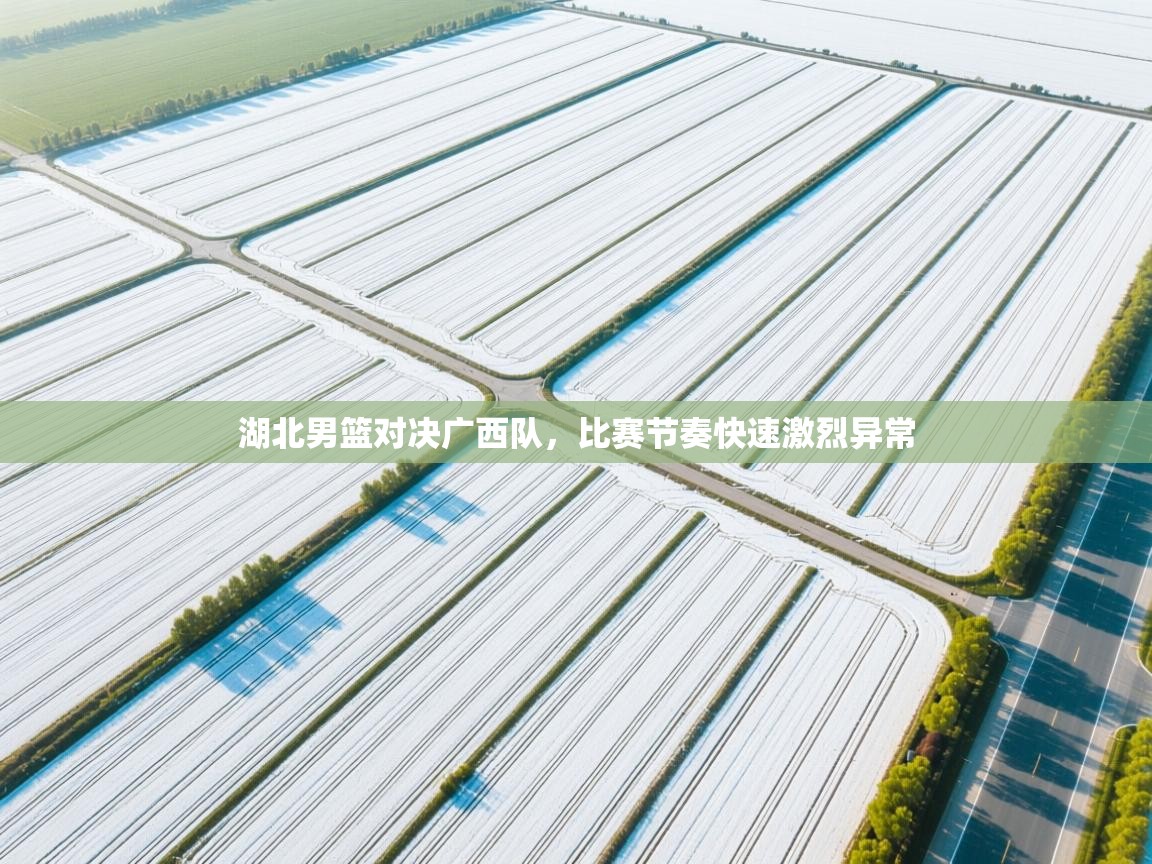 湖北男篮对决广西队，比赛节奏快速激烈异常  第2张