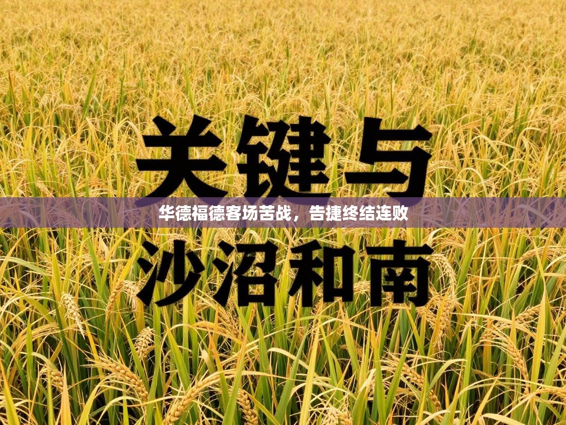 华德福德客场苦战,告捷终结连败 第2张